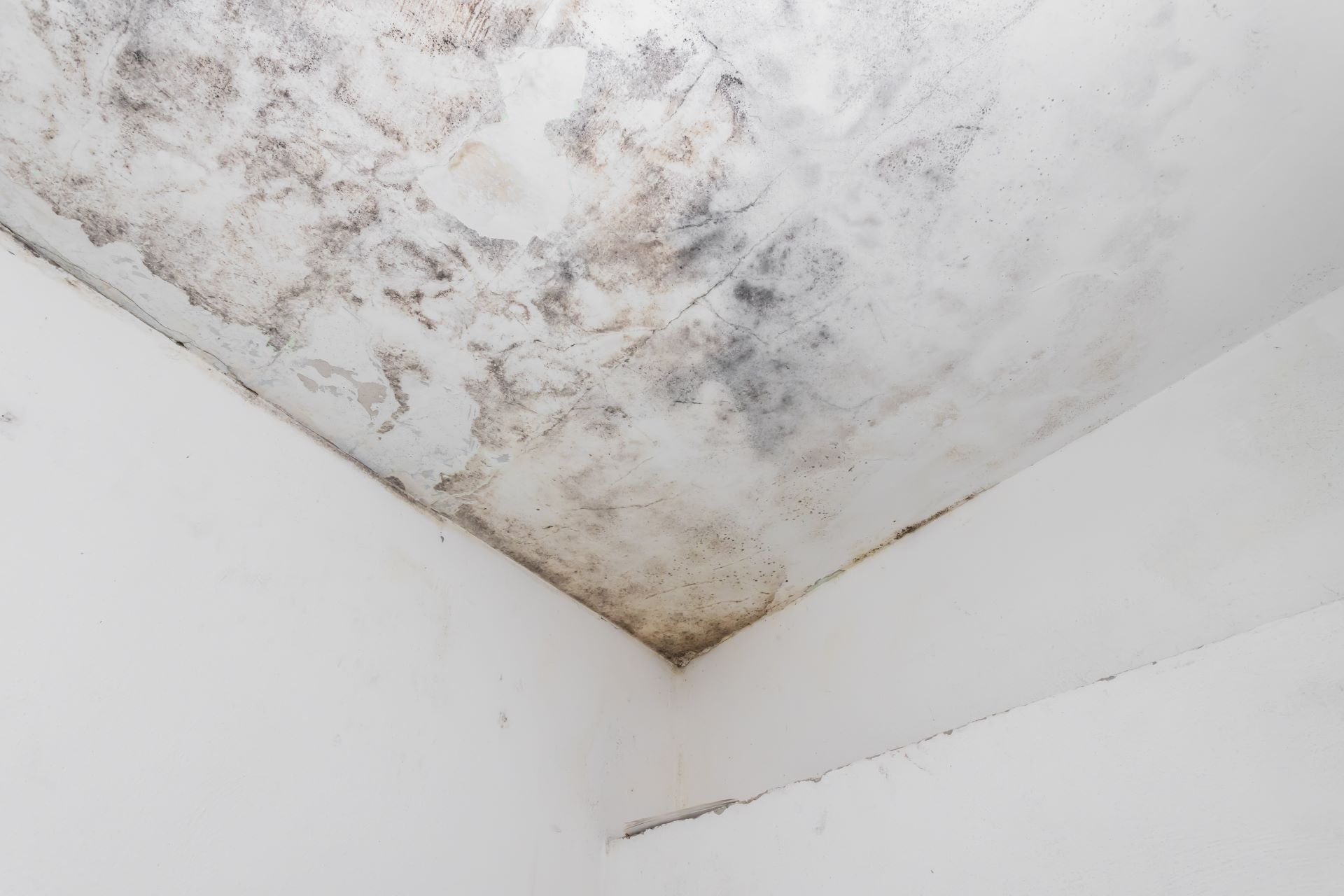 Landlord Negligence: What You Should Know 